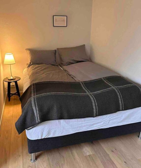 Studio Apartment Reykjavik City Center Kültér fotó
