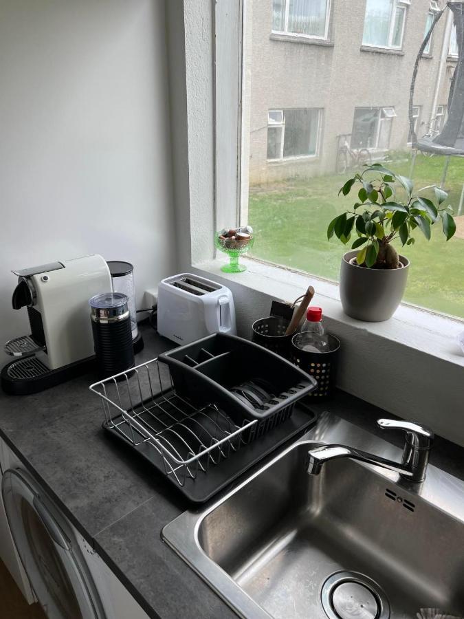 Studio Apartment Reykjavik City Center Kültér fotó