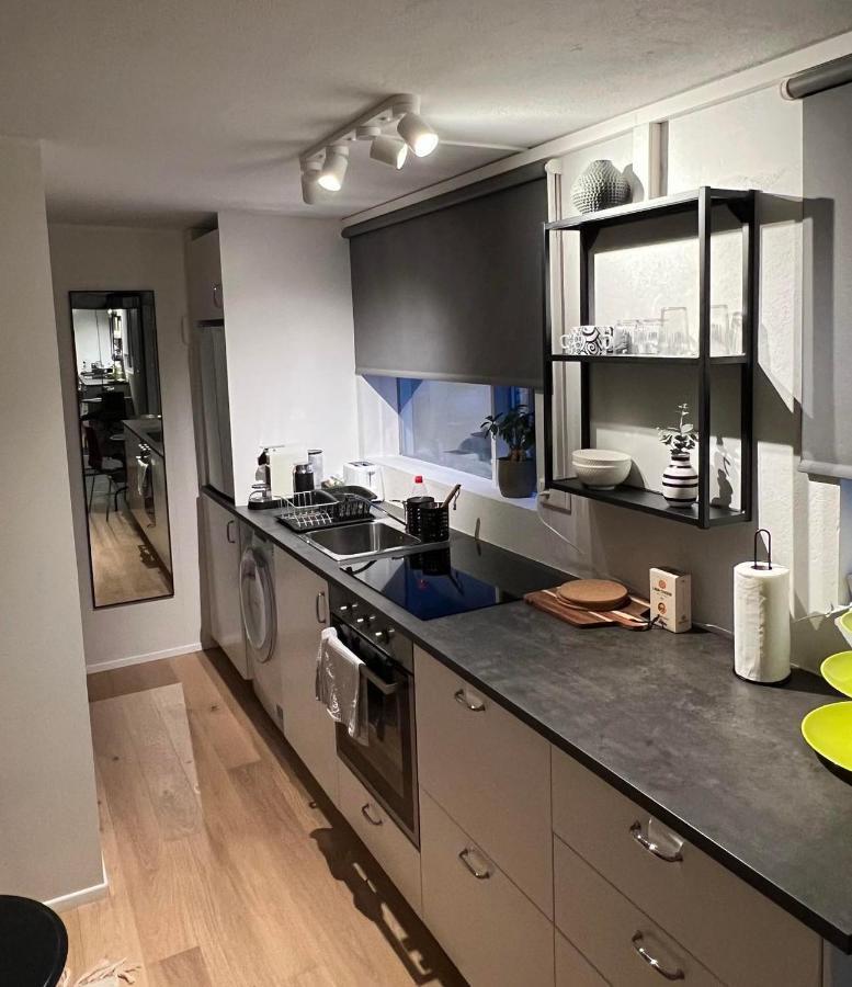 Studio Apartment Reykjavik City Center Kültér fotó